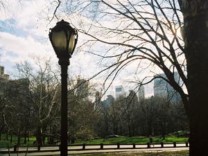 Central Park zimą