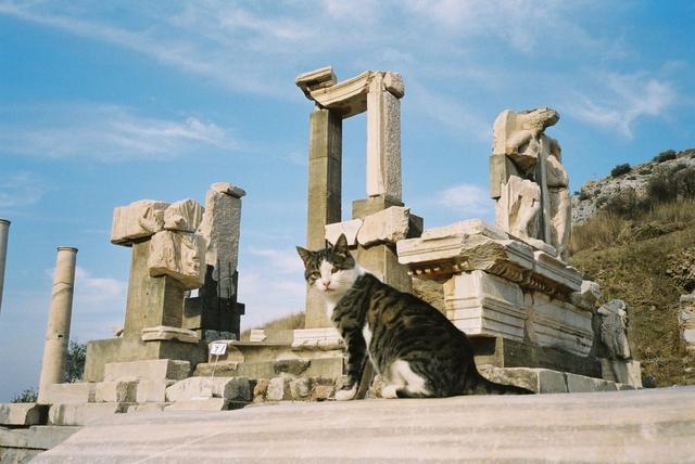 Efez starożytny