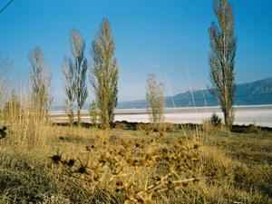 jezioro soli