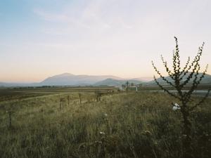 Turcja