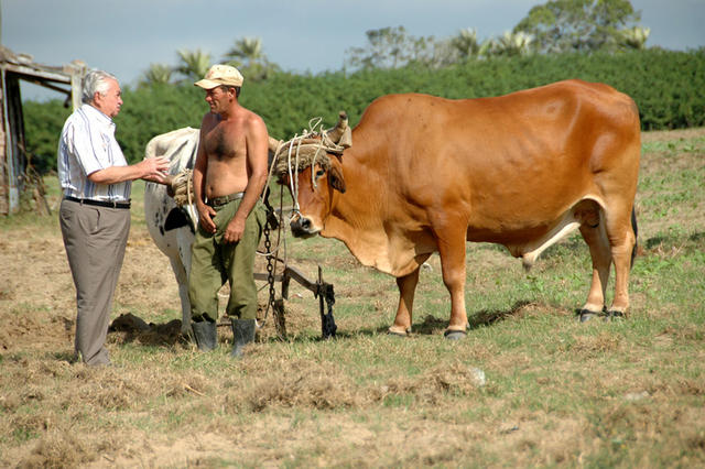 DSC 3155