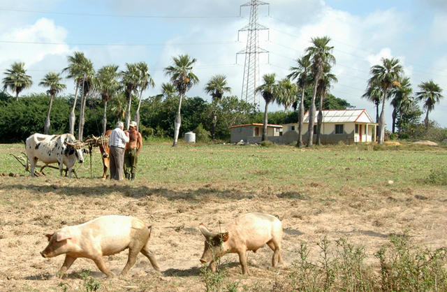 DSC 3157
