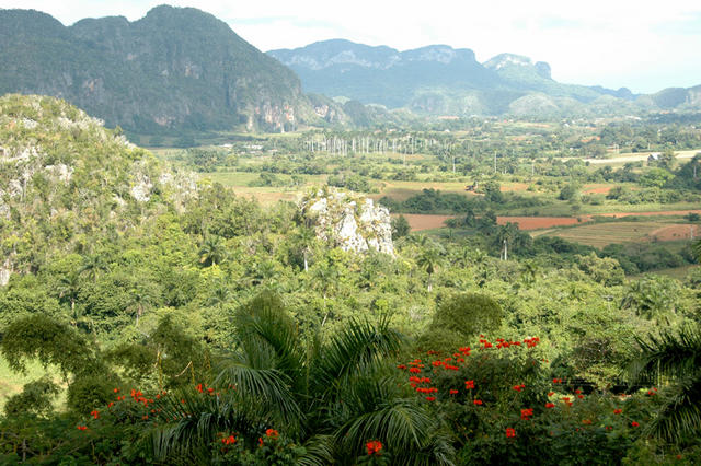DSC 3175 Dolina Vinales 