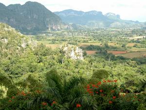 DSC 3175 Dolina Vinales 