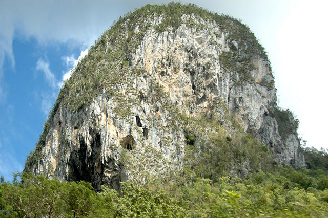 DSC 3188