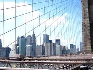 NYC31