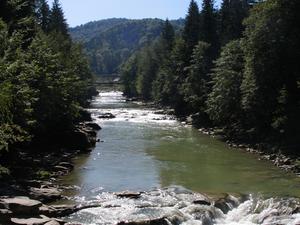 Rzeka w Jaremczy