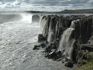 DSC 1150