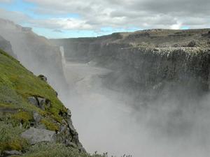 DSC 1175