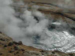 DSC 1334