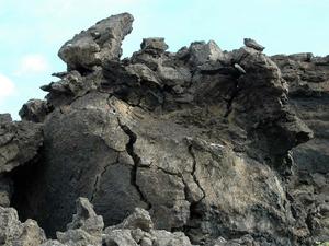 DSC 1411