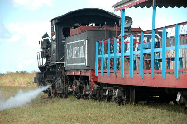 DSC 3425
