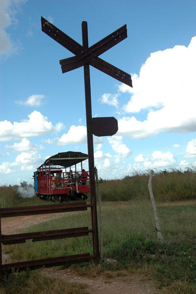 DSC 3453
