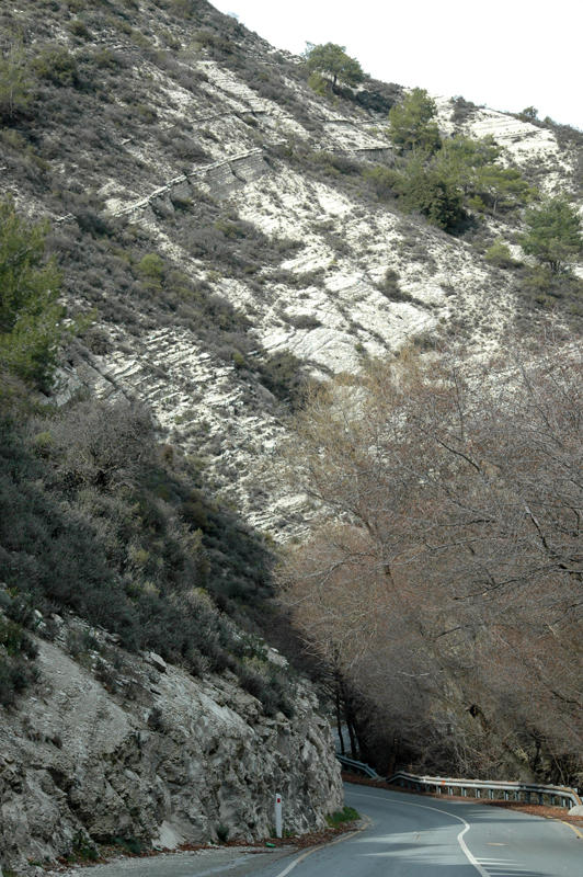 DSC 5521
