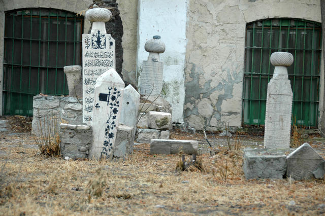 DSC 5350
