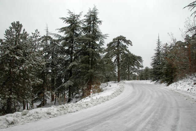 DSC 5412 Góry Troodos