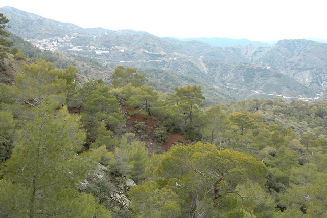DSC 5444 Góry Troodos