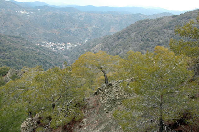 DSC 5451 Góry Troodos
