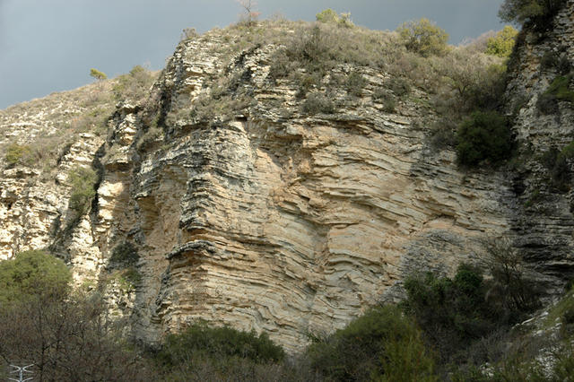 DSC 5569