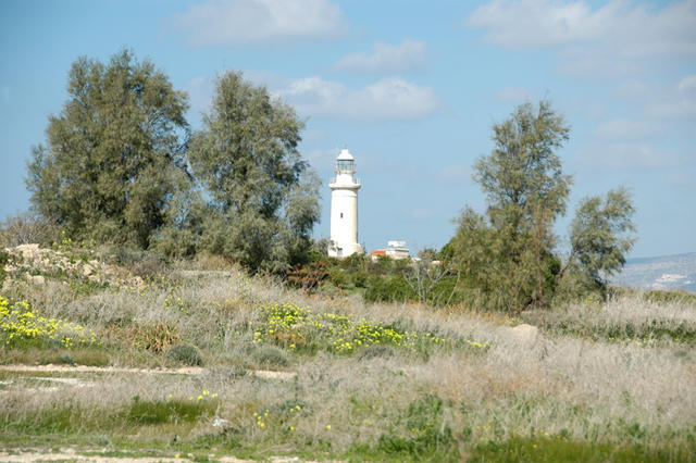 DSC 5681