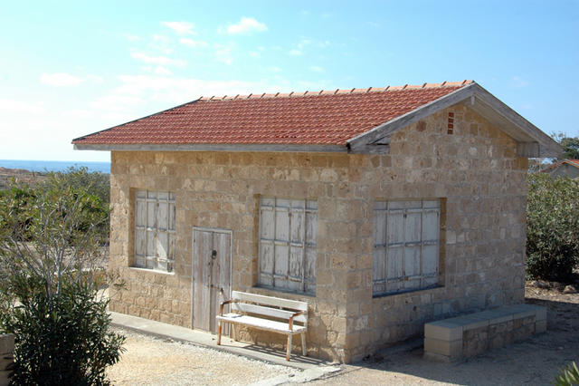 DSC 5686