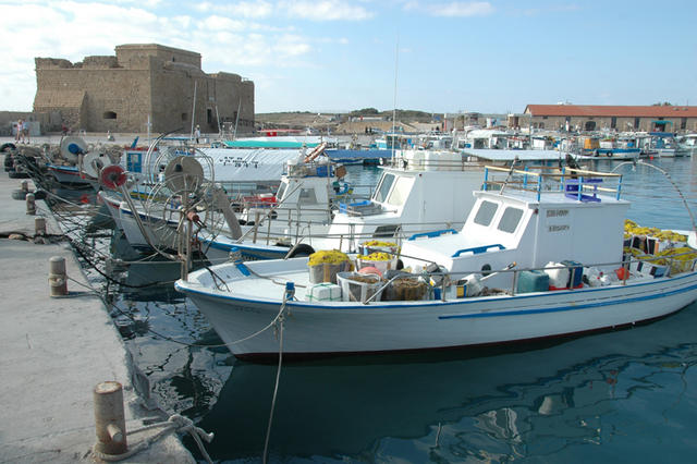 DSC 5772