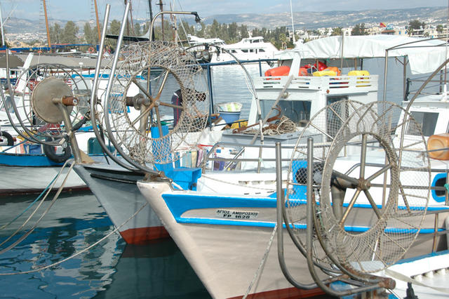DSC 5777
