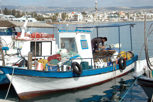 DSC 5779