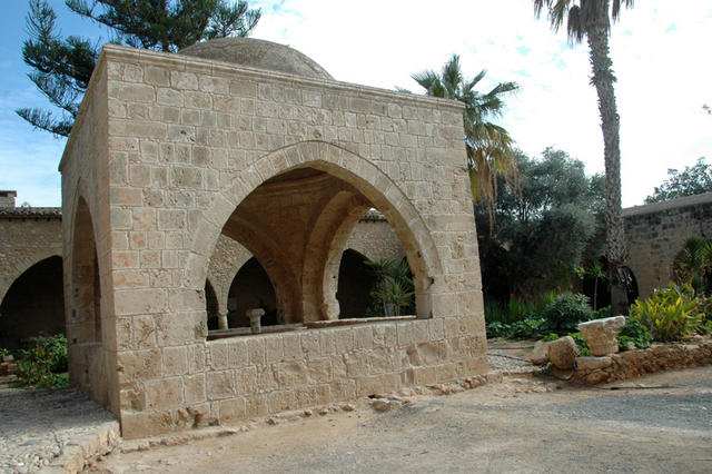 DSC 5968