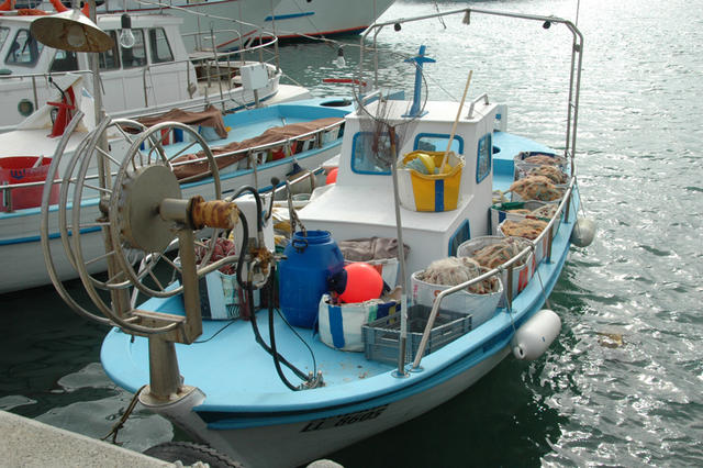 DSC 5988
