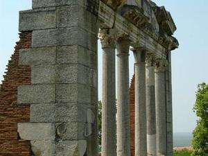 Apolonia (1)