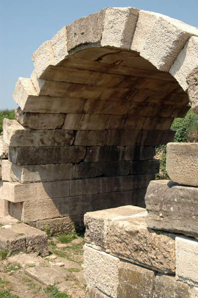 Apolonia (9)