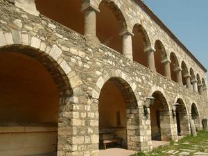 Apolonia (15)