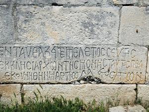 Apolonia (24)