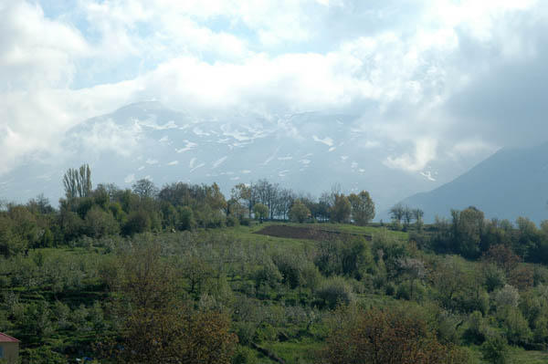 Borove (10)