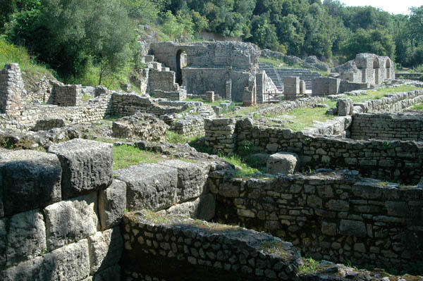 Butrini (13)