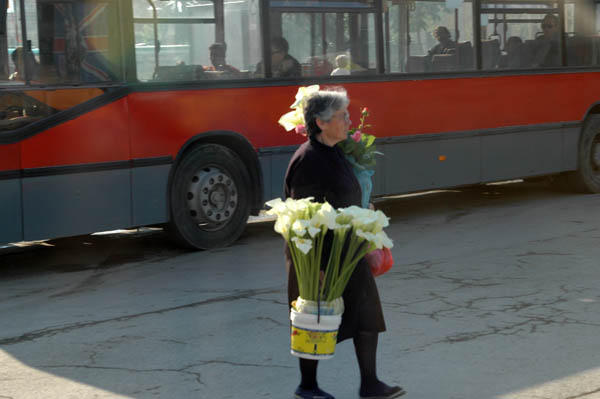 Tirana (59)