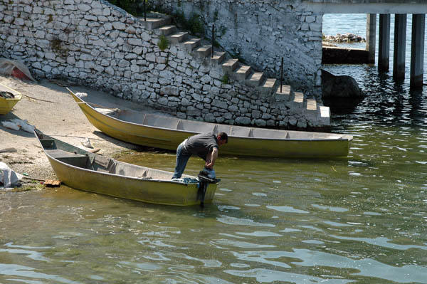 Szkodra (36)