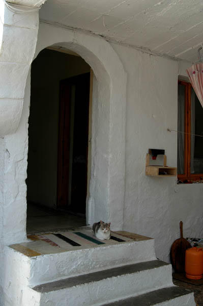Kruja (30)
