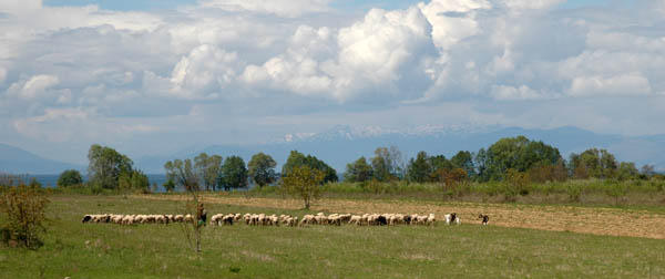 Ochryt   klasztor sw  Nauma (3)