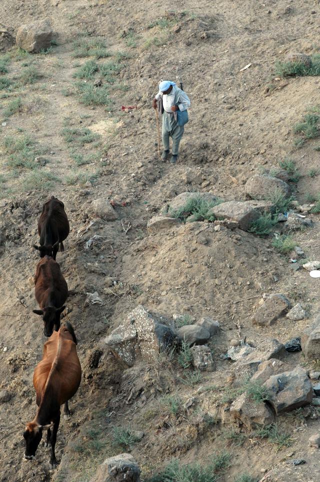 Diyarbakir 7 dzien (12)