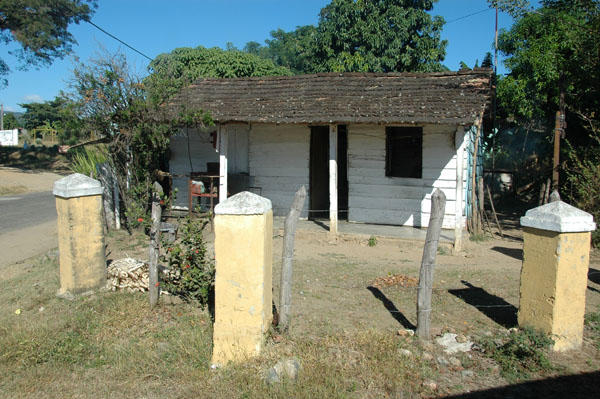 DSC 3715