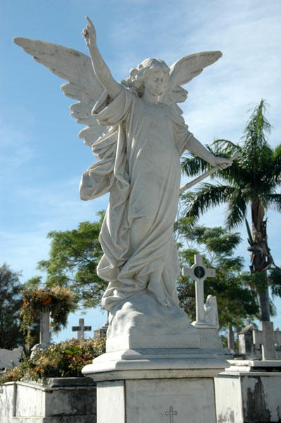 DSC 3958