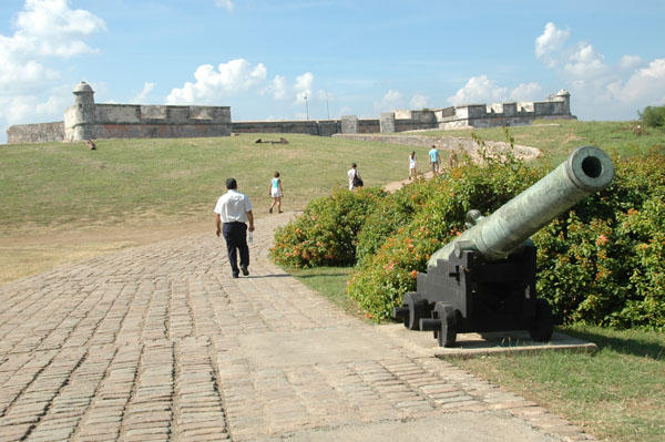 DSC 4006