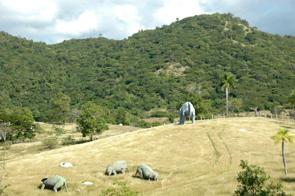 DSC 4035