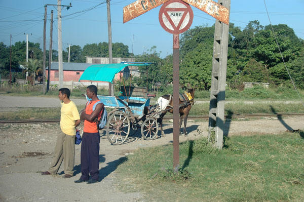 DSC 4082