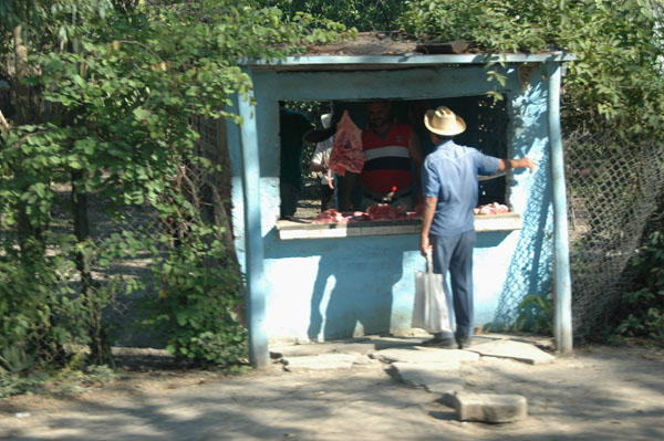 DSC 4085