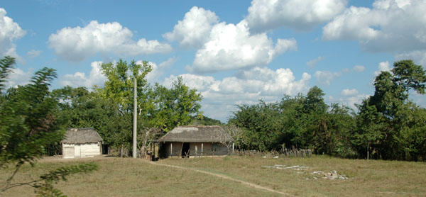 DSC 4087