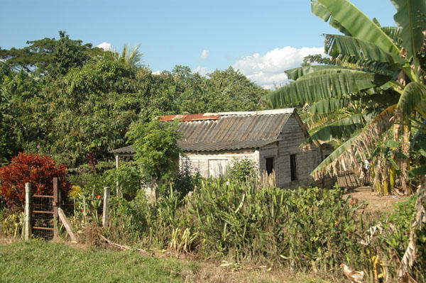 DSC 4088