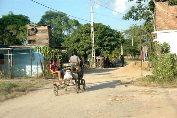 DSC 4102